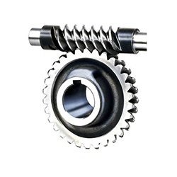 Worm & Worm Wheel